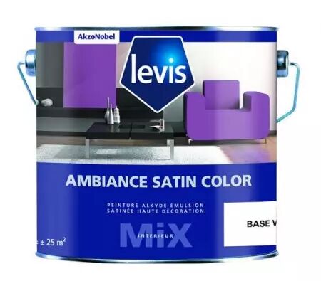 AMBIANCE SATIN COLOR TEINTE