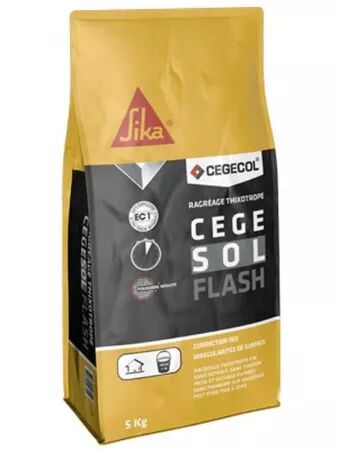 CEGESOL FLASH